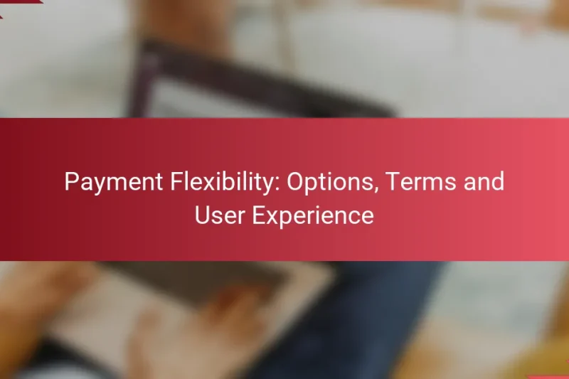 Payment Flexibility: Options, Terms and User Experience