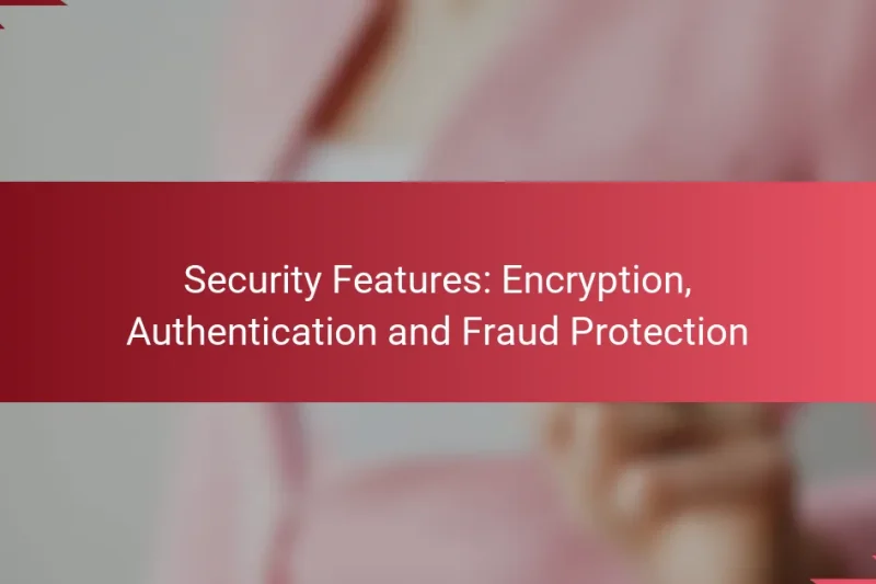 Security Features: Encryption, Authentication and Fraud Protection