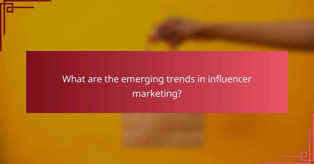 What are the emerging trends in influencer marketing?